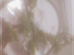-邑金陵北京烤鸭店·现炒家常菜(ITC MALL店)