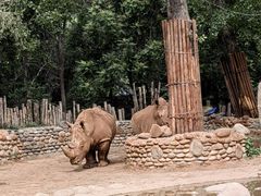 -北京野生动物园