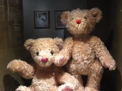 -济州岛泰迪熊博物馆