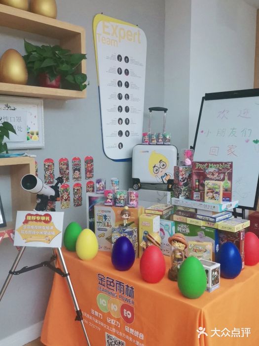 金色雨林学习力培优(专注力提升)图片