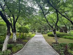 -范蠡湖公园