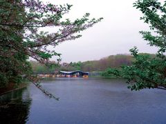 -上海共青森林公园