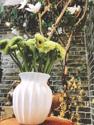 -花隐·美芙炫海菲秀皮肤管理中心