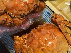 -蟹味阁·蟹黄面(体育西横街店)