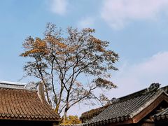 -惠山古镇·寄畅园