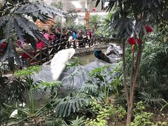 景点-南宫五洲植物乐园