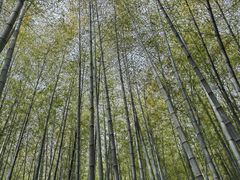 -南山风景名胜区