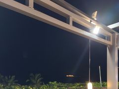 -渔家火锅·海鲜自助餐·演艺(亚龙湾天域酒店)