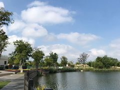 -上海长兴岛郊野公园