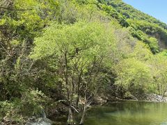 -少华山国家森林公园