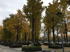 -百林公园-两江幸福广场