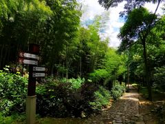 -仙霞关景区