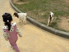 -北戴河集发农业梦想王国