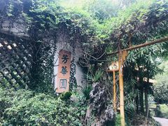 -广州兰圃