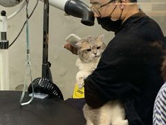 -PETKIT小佩宠物(昭化店)