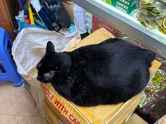 -大三巴饼家(大三巴街店)