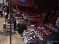 -红星农博物流中心