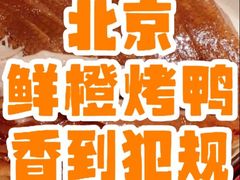 -真地道京味府·鲜橙烤鸭·北京菜(朝外大街东大桥店)