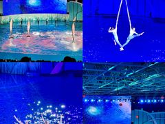 -海合安青岛极地海洋公园