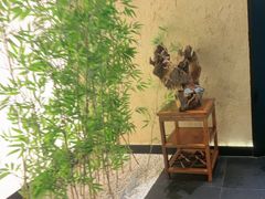 -新紫霞养生·影院足道·SPA(金山区店)