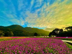 -广州市石门国家森林公园