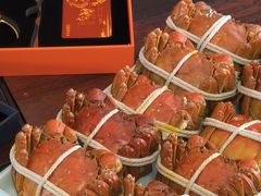 -乡乐园蟹庄·阳澄湖农家乐