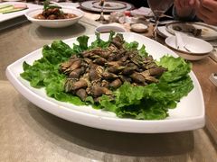 -骏莱海鲜鱼港(五角场店)
