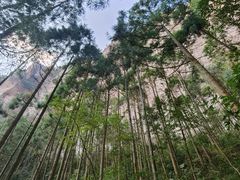 -雁荡山风景名胜区