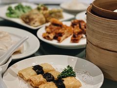 -詠春园