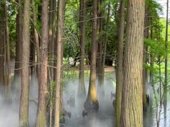 -东湖落雁景区