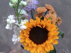 -何兮花店·气球派对鲜花店(马桥银春路万科城店)