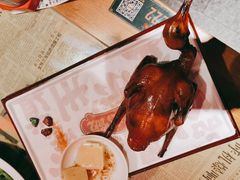 红烧乳鸽-大鸽饭(北京路店)