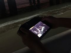 -演武大桥观景平台