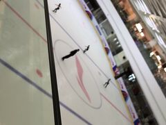 -全明星滑冰俱乐部(万象城店)