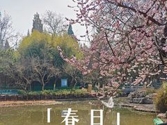 -宣武艺园