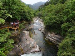 -秦岭风景区