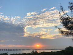 -宝安西湾红树林湿地公园