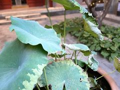 -李叔同故居纪念馆