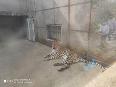 -西安秦岭野生动物园