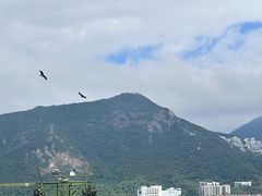 -香港海洋公园