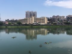 -汕头市博物馆