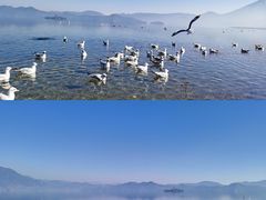 -丽江泸沽湖景区