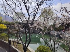 -迎泽公园