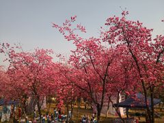 -昆明动物园