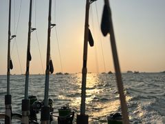 -小猫钓鱼海钓俱乐部(椰梦长廊店)