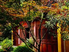 -慧因高丽寺