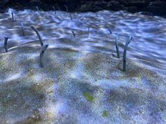-厦门海底世界