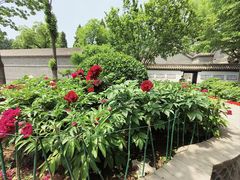 -保定直隶总督署博物馆