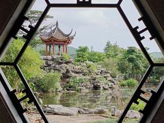 -顺峰山公园