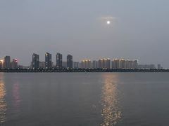 -九龙湖公园